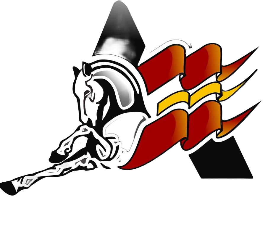 Logo de Aceros Alonso